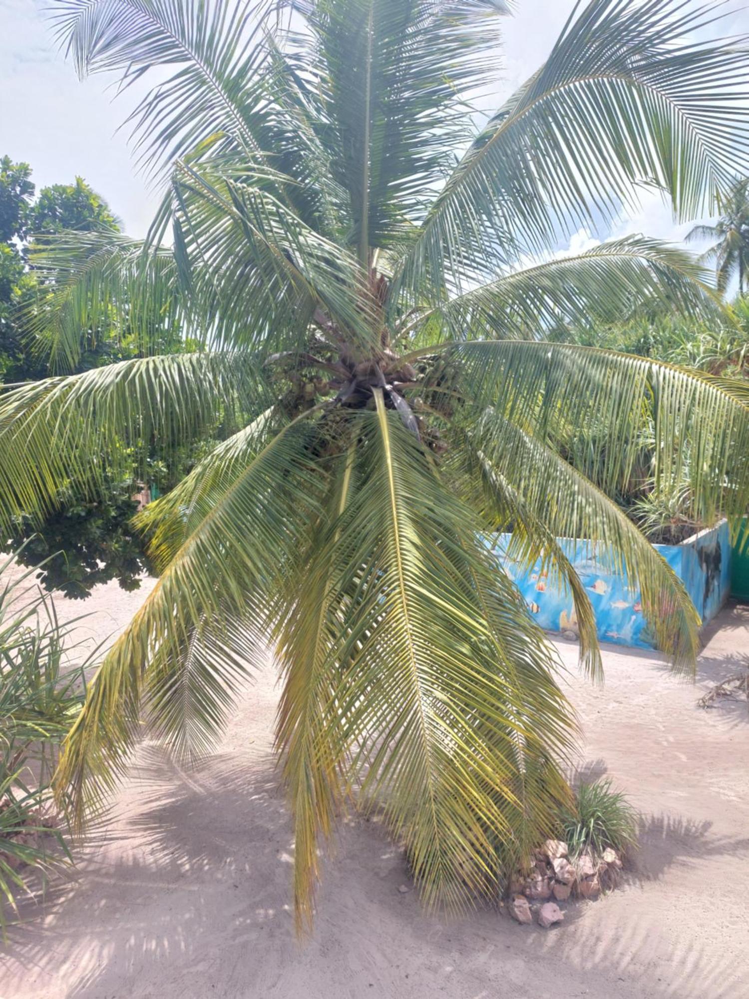 Princess Of Zanzibar Michamvi 外观 照片